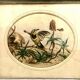 Painting old bird Ornithology nineteenth 1862
