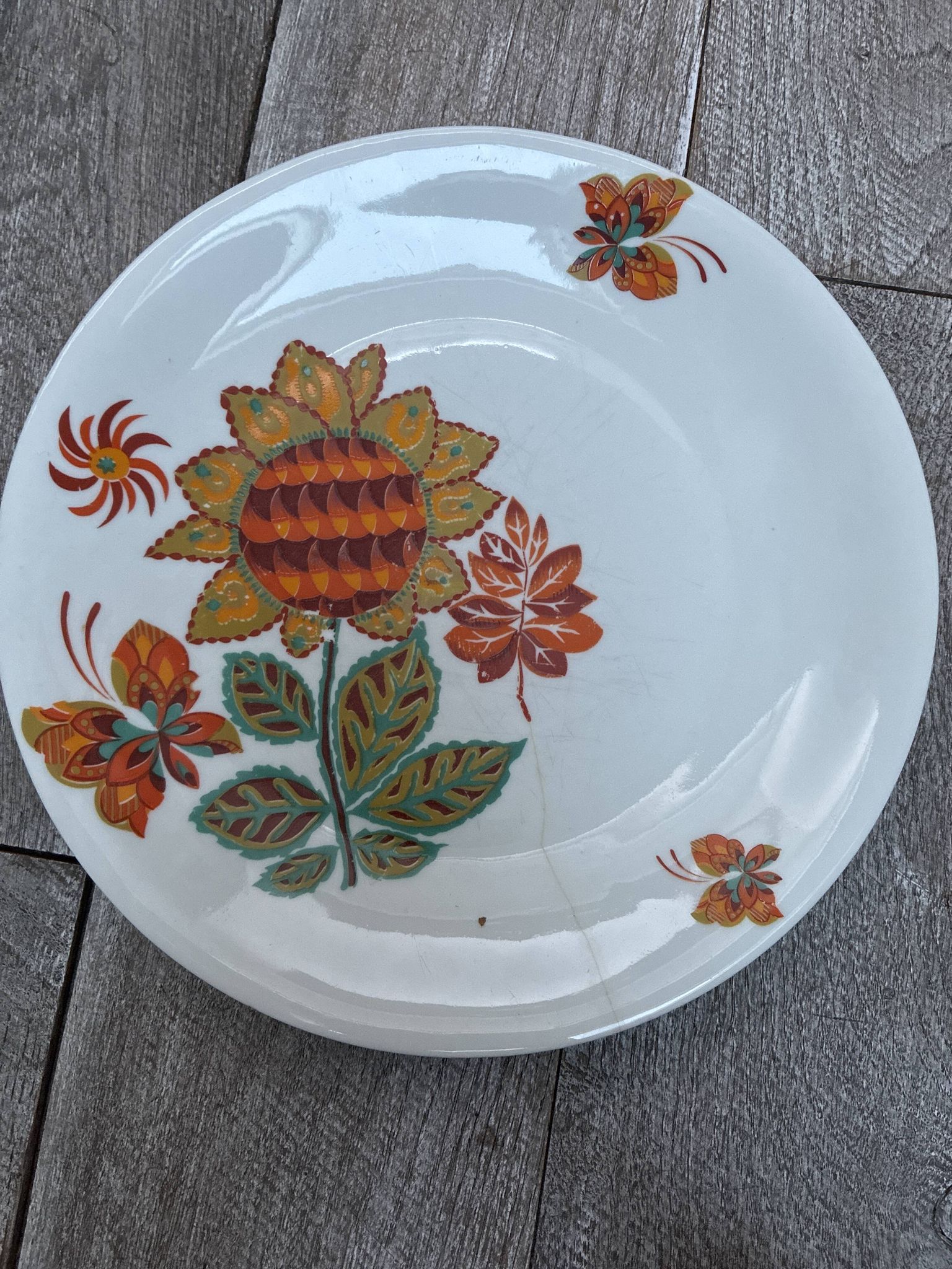 Vintage porcelain plate from Tuileries with exclusive AUBUSSON decoration.