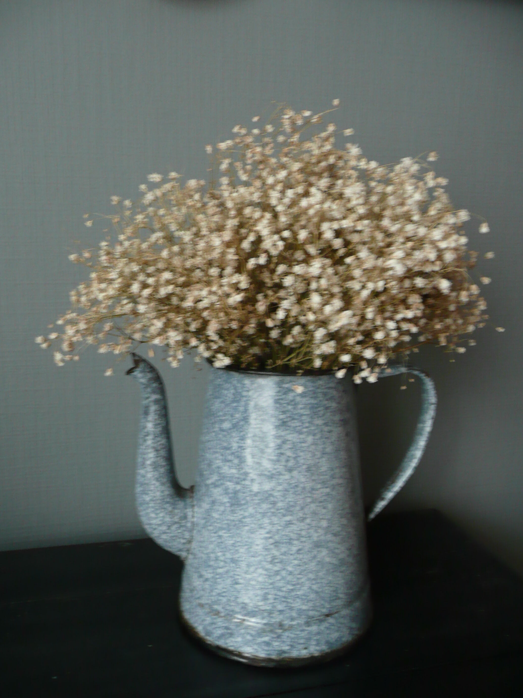 Old enameled coffee maker