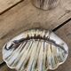 Silver metal pocket empty