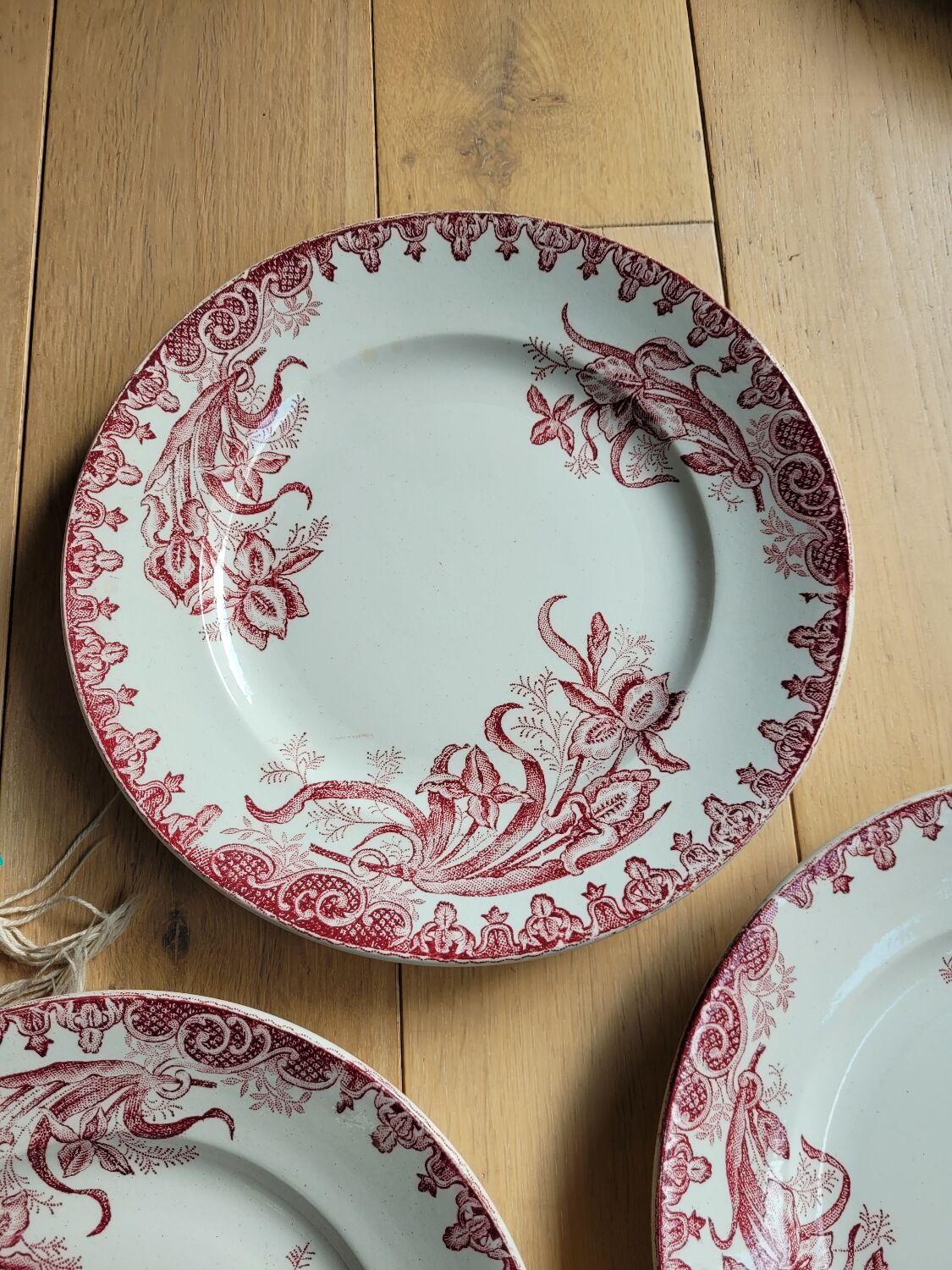 Lot de 5 assiettes plates Terre de fer Ste Amandinoise Iris