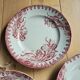 Lot de 5 assiettes plates Terre de fer Ste Amandinoise Iris