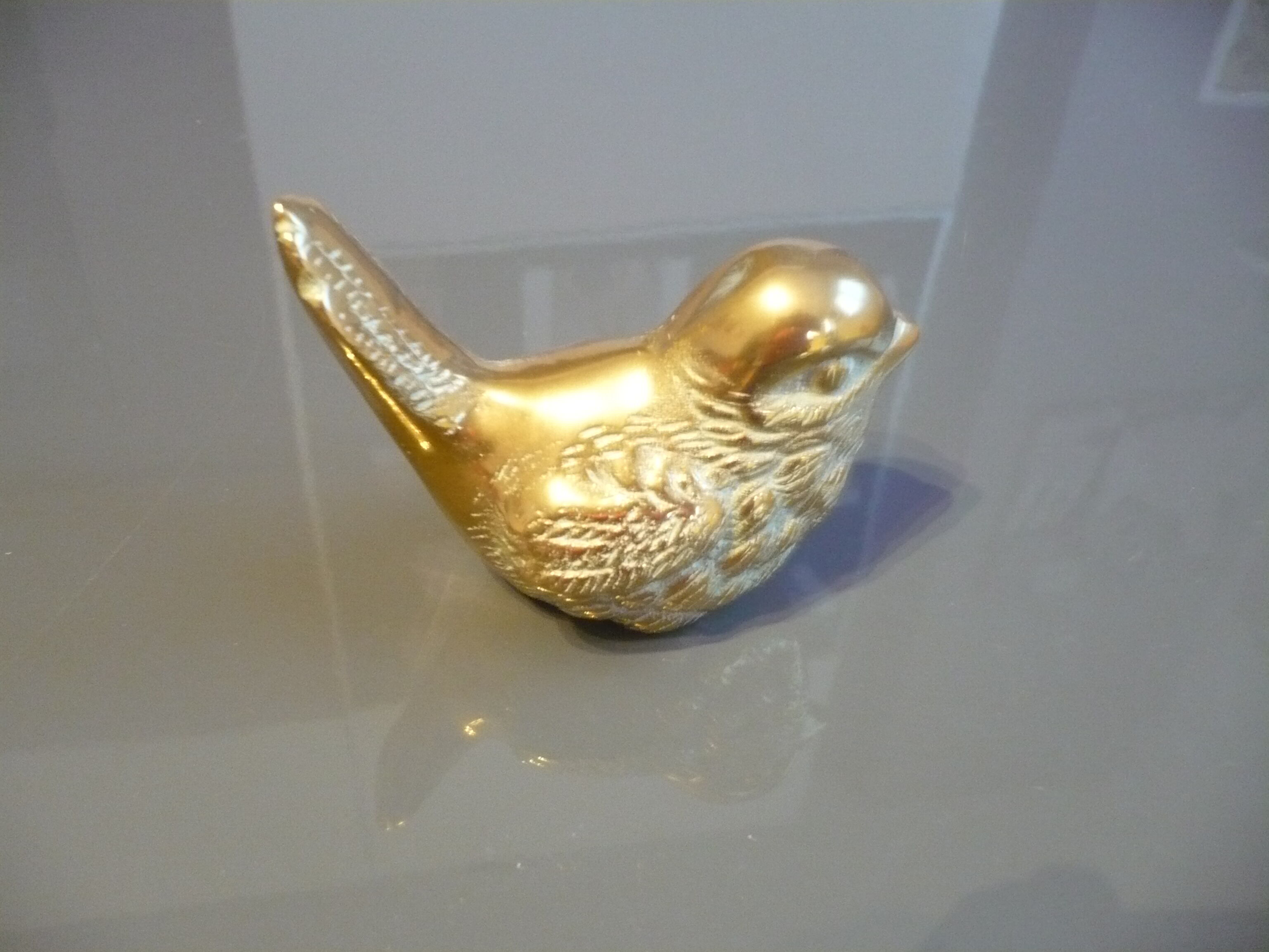 Brass sparrow