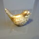 Brass sparrow