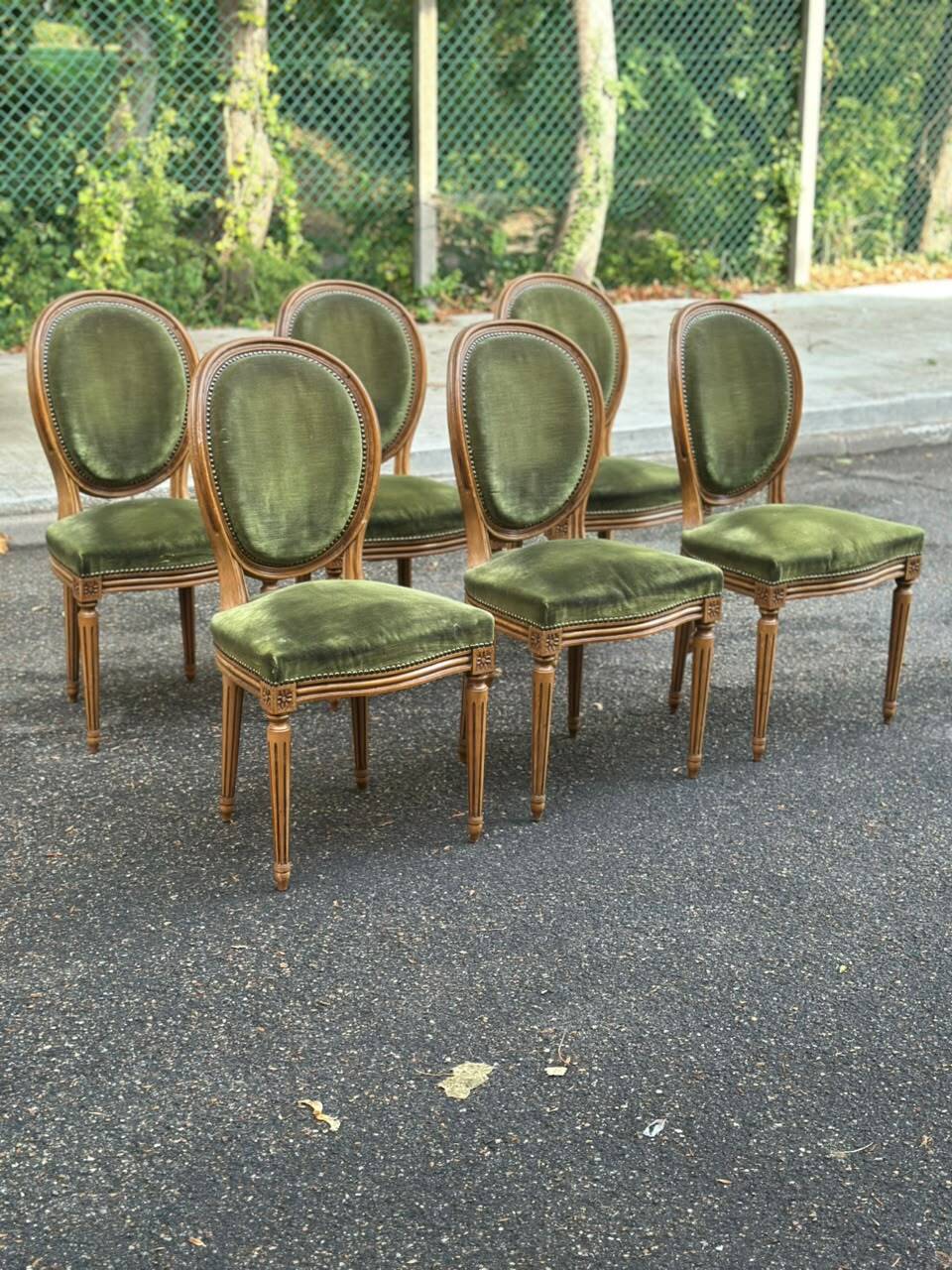 Set of 6 Louis XVI medallion chairs in green velvet, 1950.