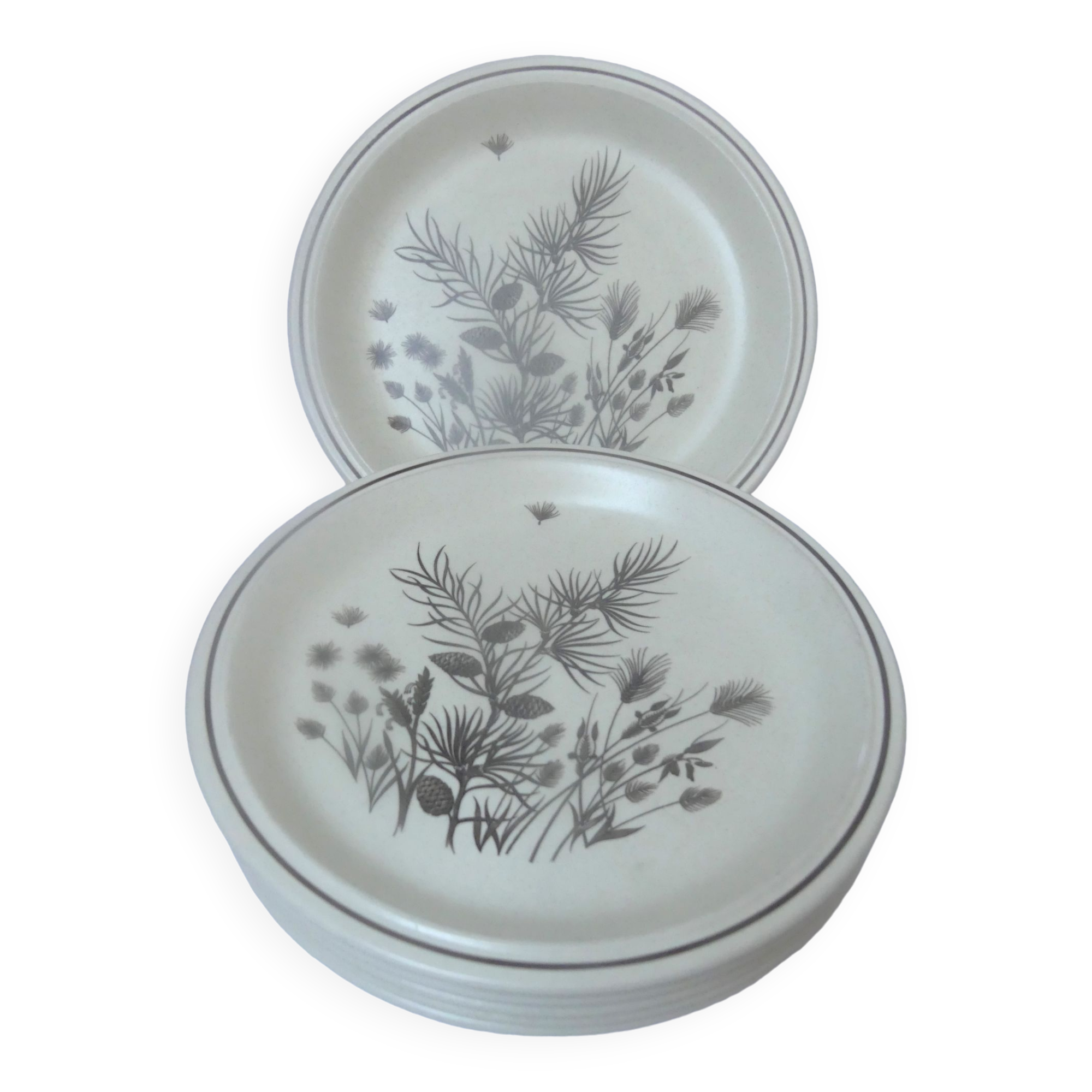 Set of 6 flat english plates