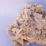 Rose des sables du désert du Sahara