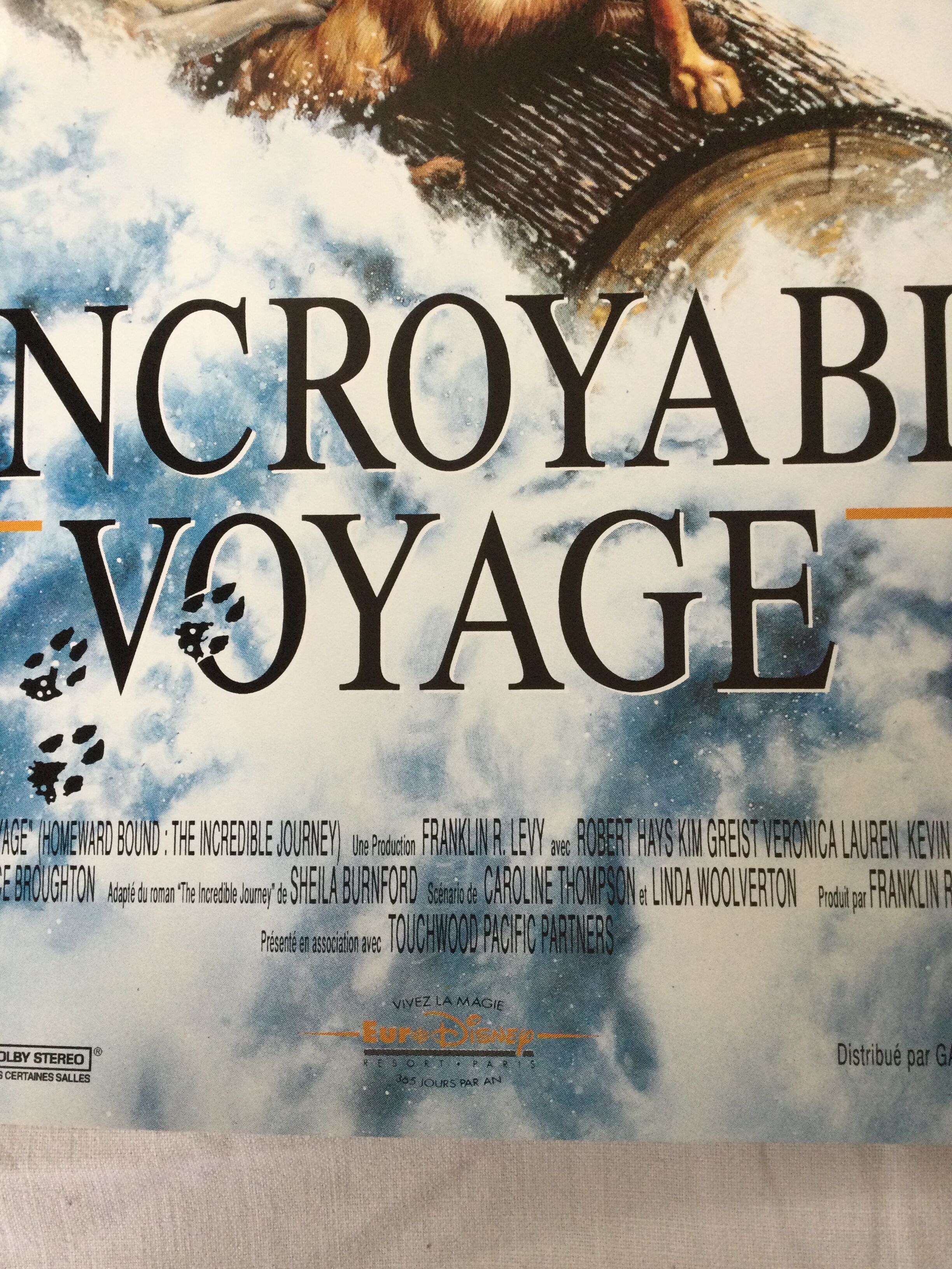 Poster of the film "The Incredible Journey"