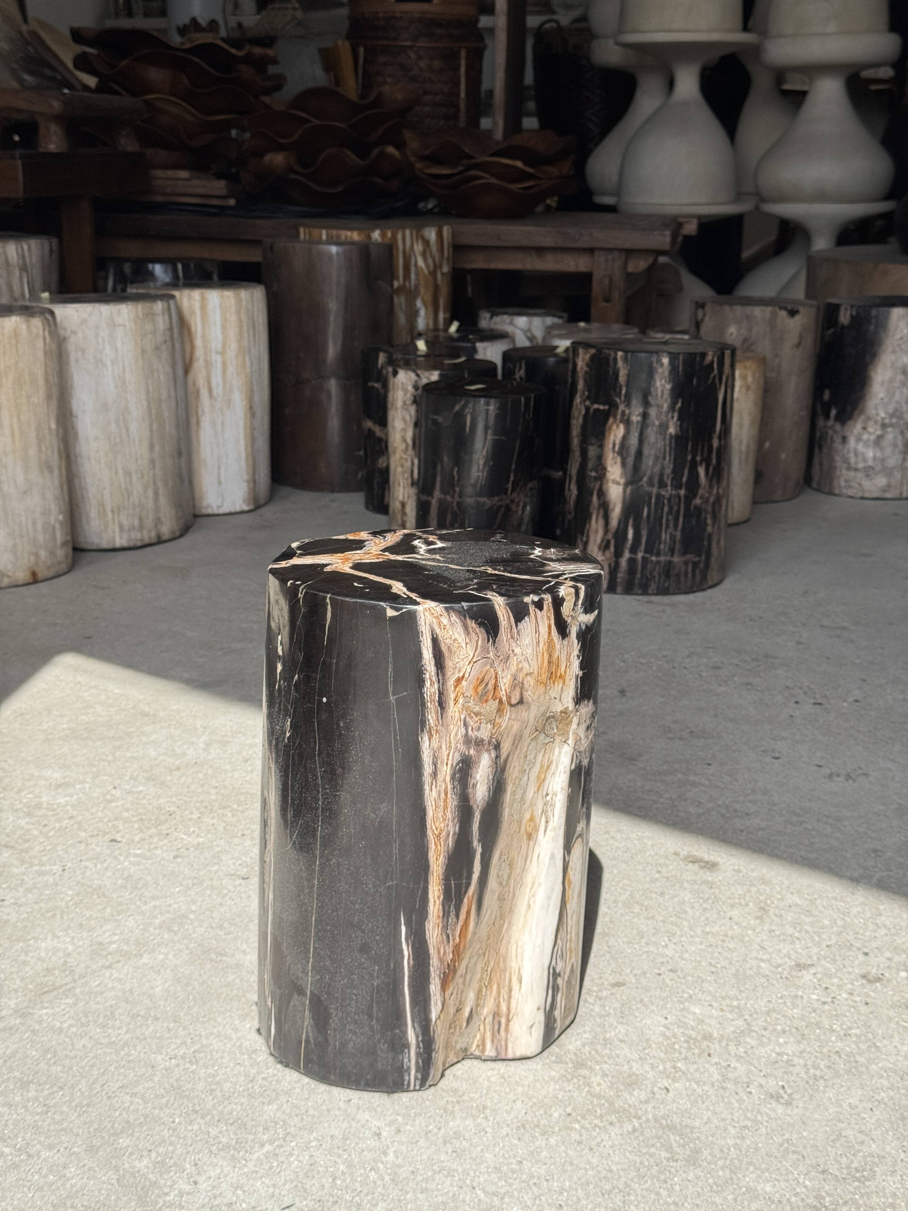 Black petrified wood side table with beige stripes, star pattern H35 D24.