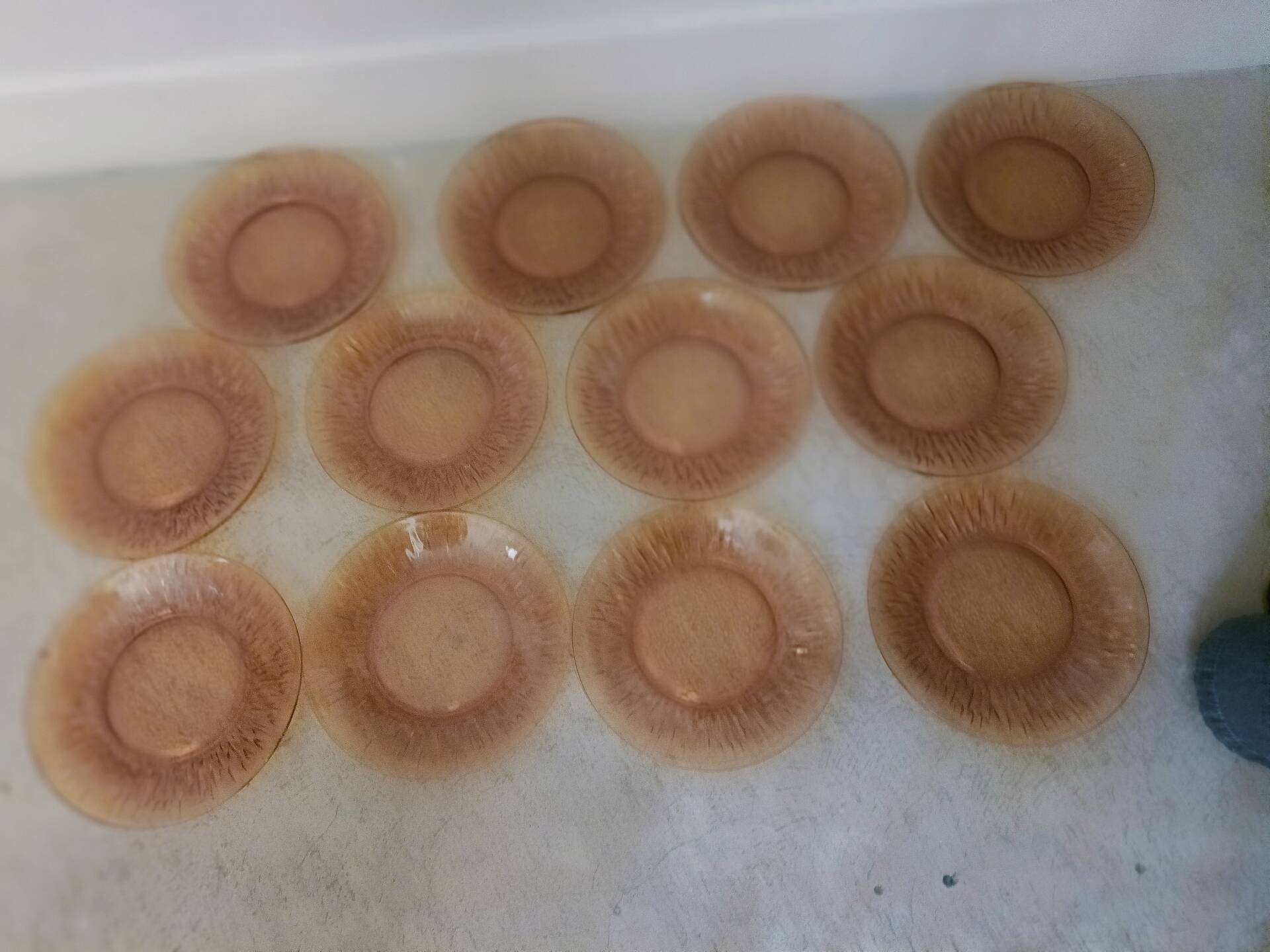 Twelve amber sunflower plates Vereco