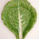 Trompe l'oeil cup bright green cabbage leaf in slip