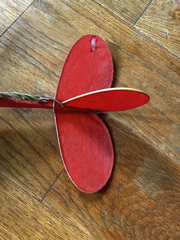 L'Avion de France, modèle ''Sport'', Avion sans pilote, Unis France