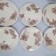 Iron earth salt flat plates
