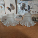 Pair Of French Vintage Art Nouveau Glass Replacement Shades