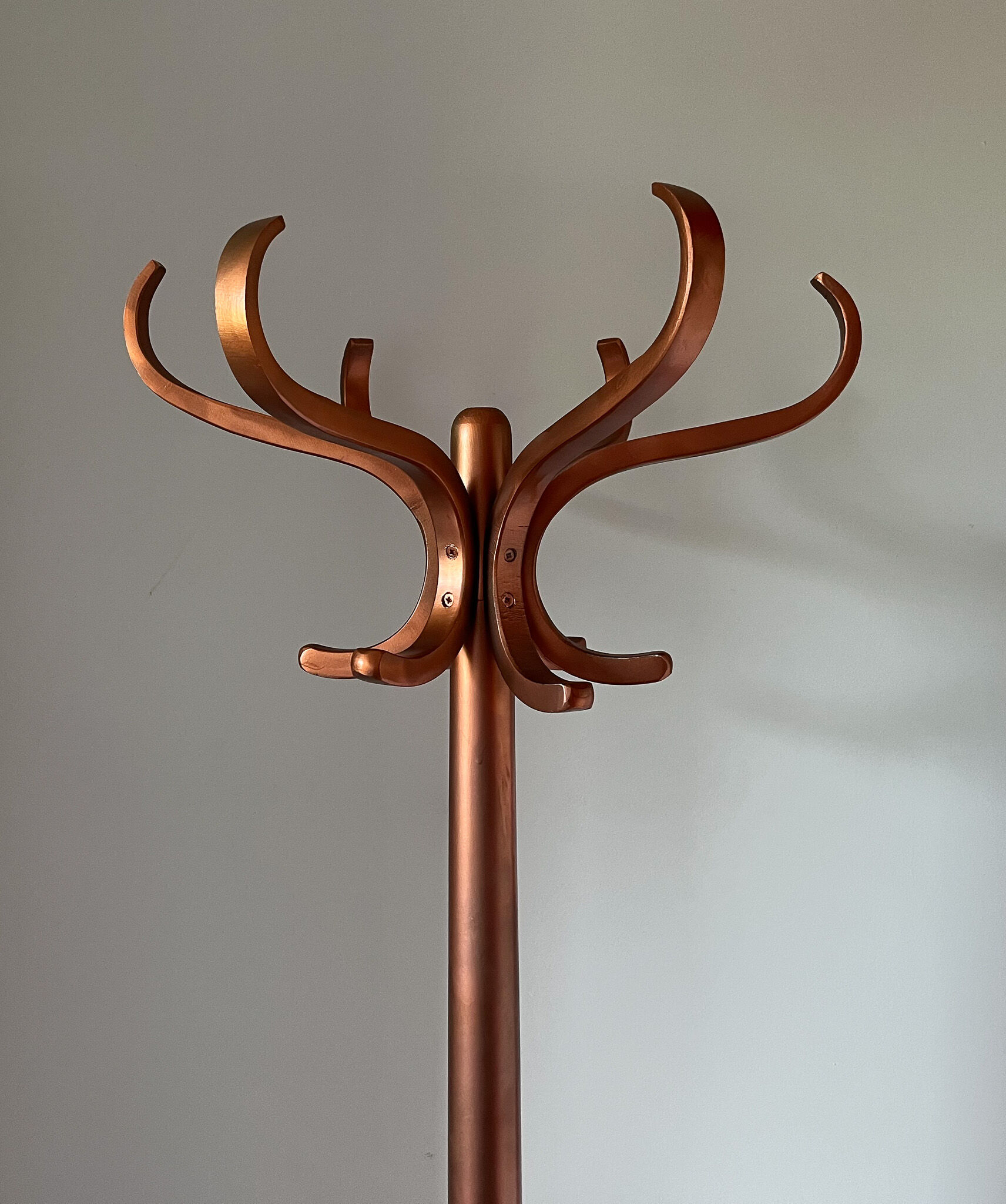 Porte manteau Perroquet Baumann