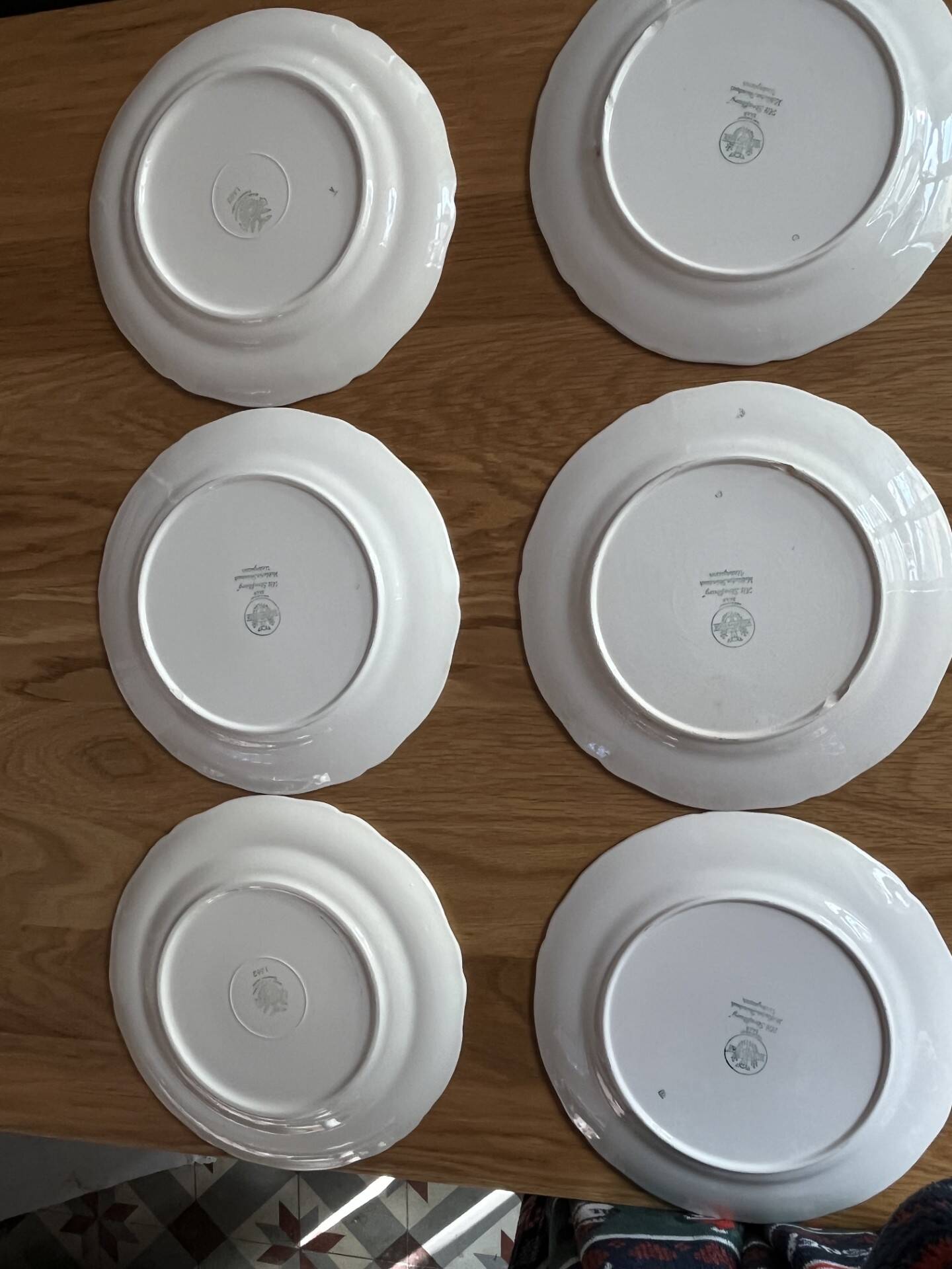 6 assiettes vintage Villeroy et Boch