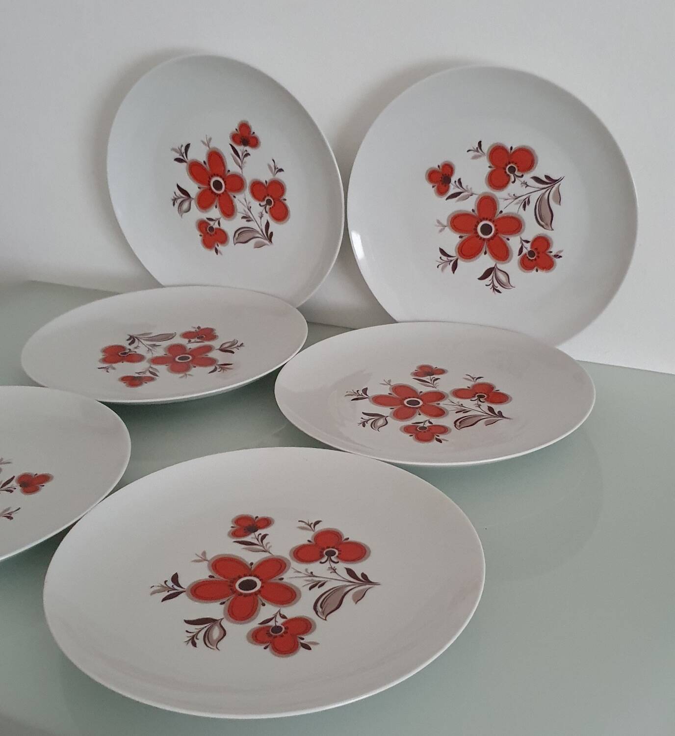 Set of 6 flat plates - Arzberg earthenware factory - 1960/70