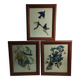 set of 3 reproductions of old illustrations by John James Audubon
