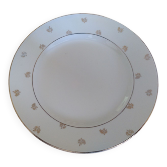 Digoin Sarguemines plates