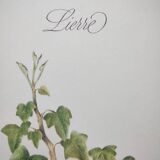 Botanical board -Ivy- Illustration of medicinal plants
