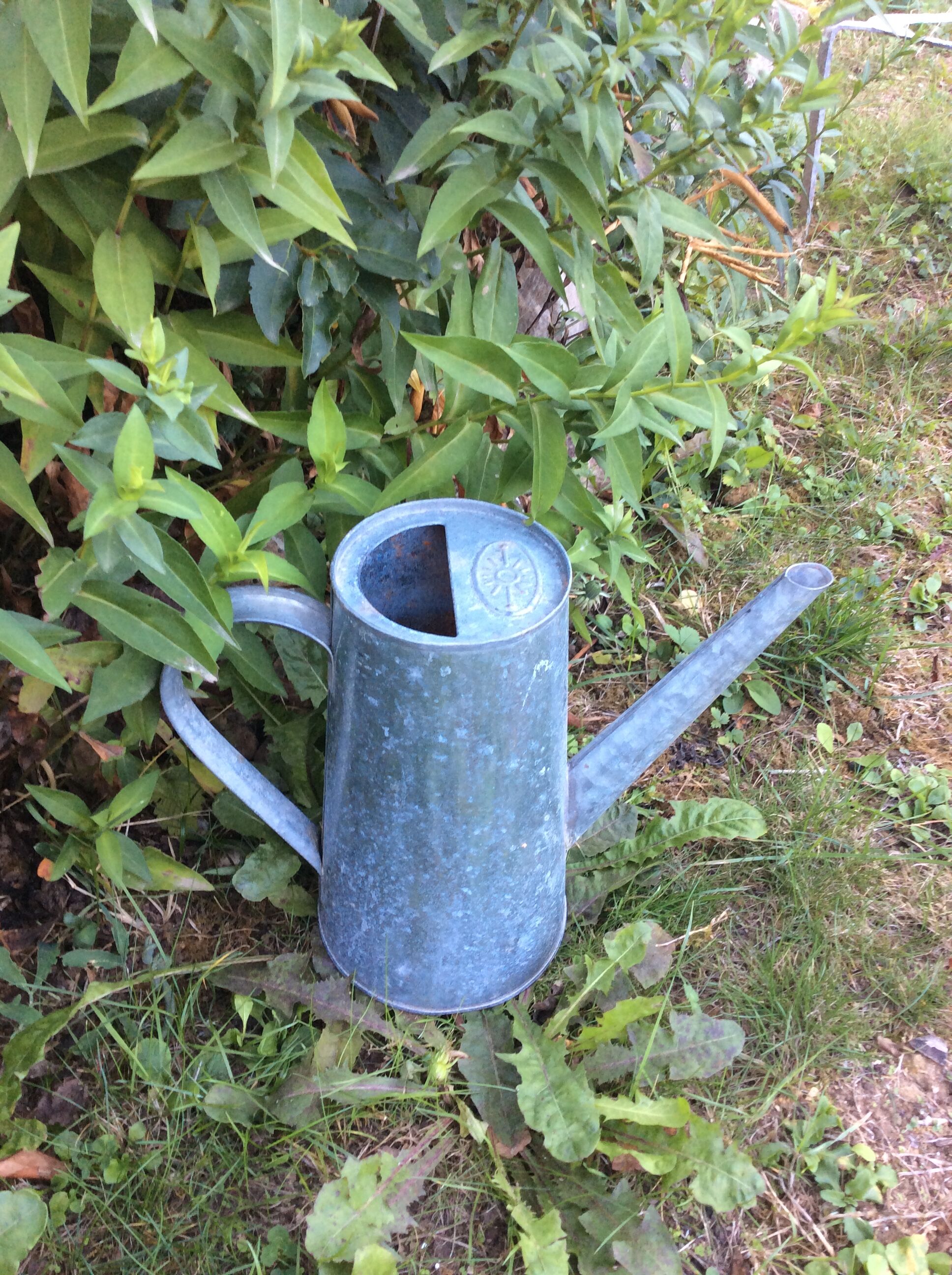 Vintage zinc broc