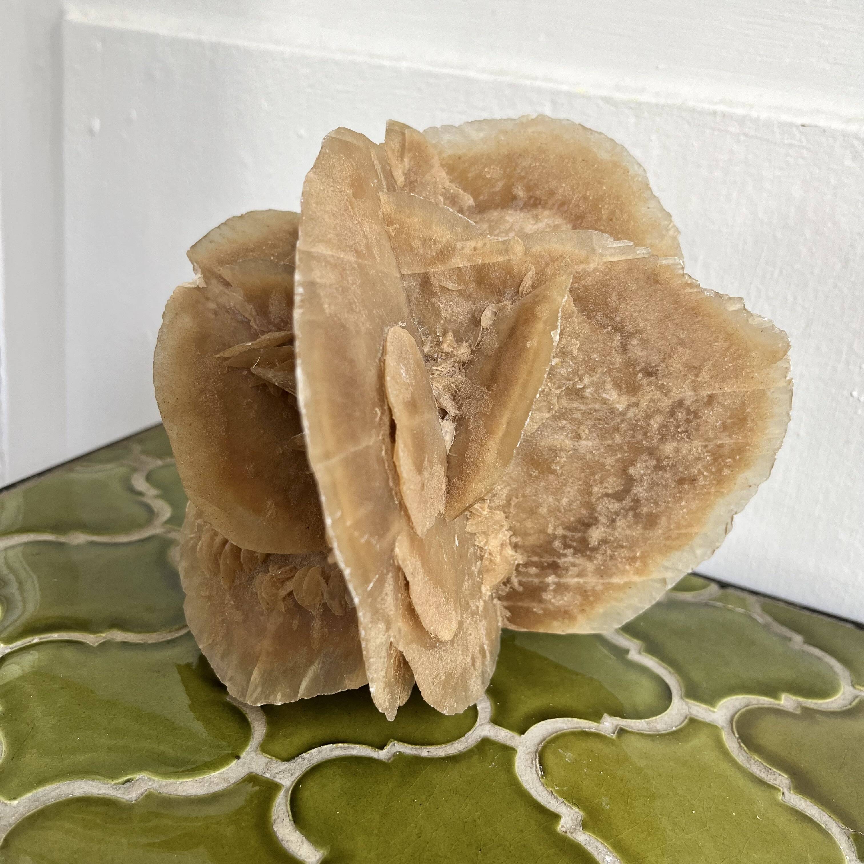 Large size sand rose