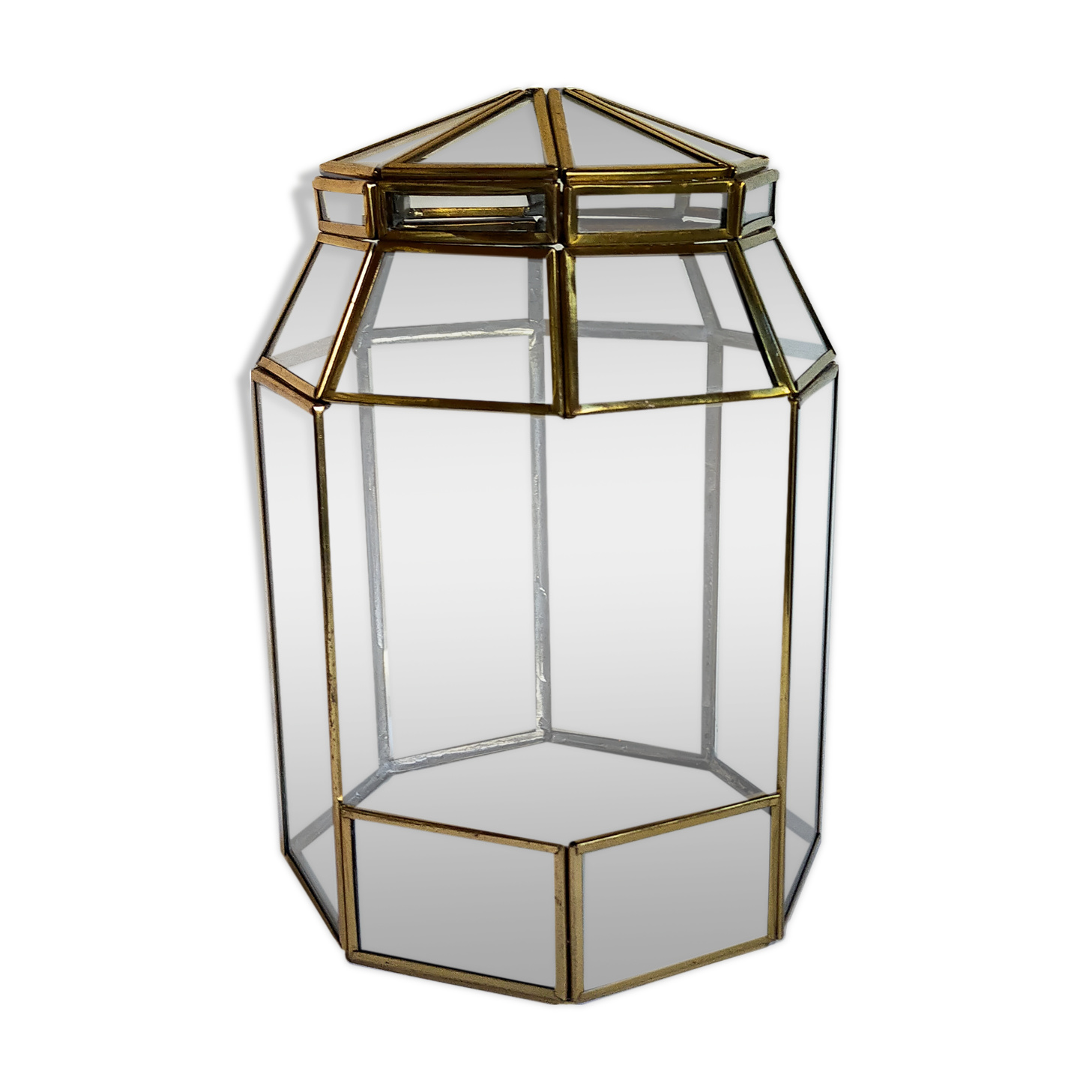 Indoor greenhouse-terrarium in brass