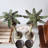 Wooden palm lamp bases or candle holders