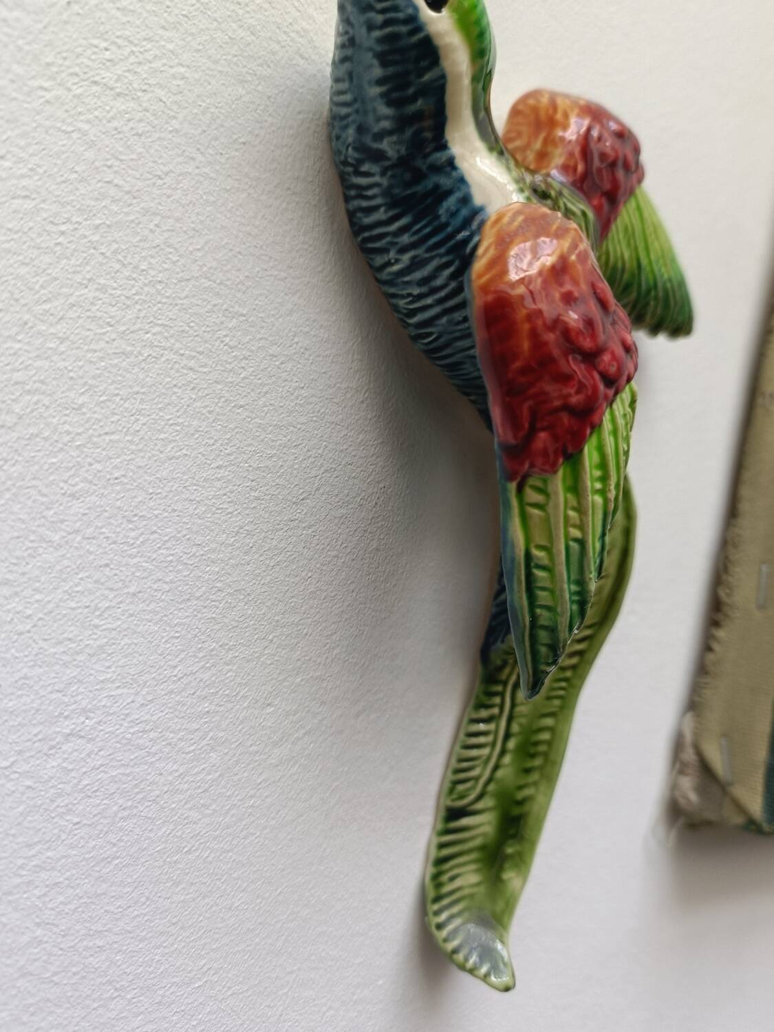 Two exotic birds in slip to hang