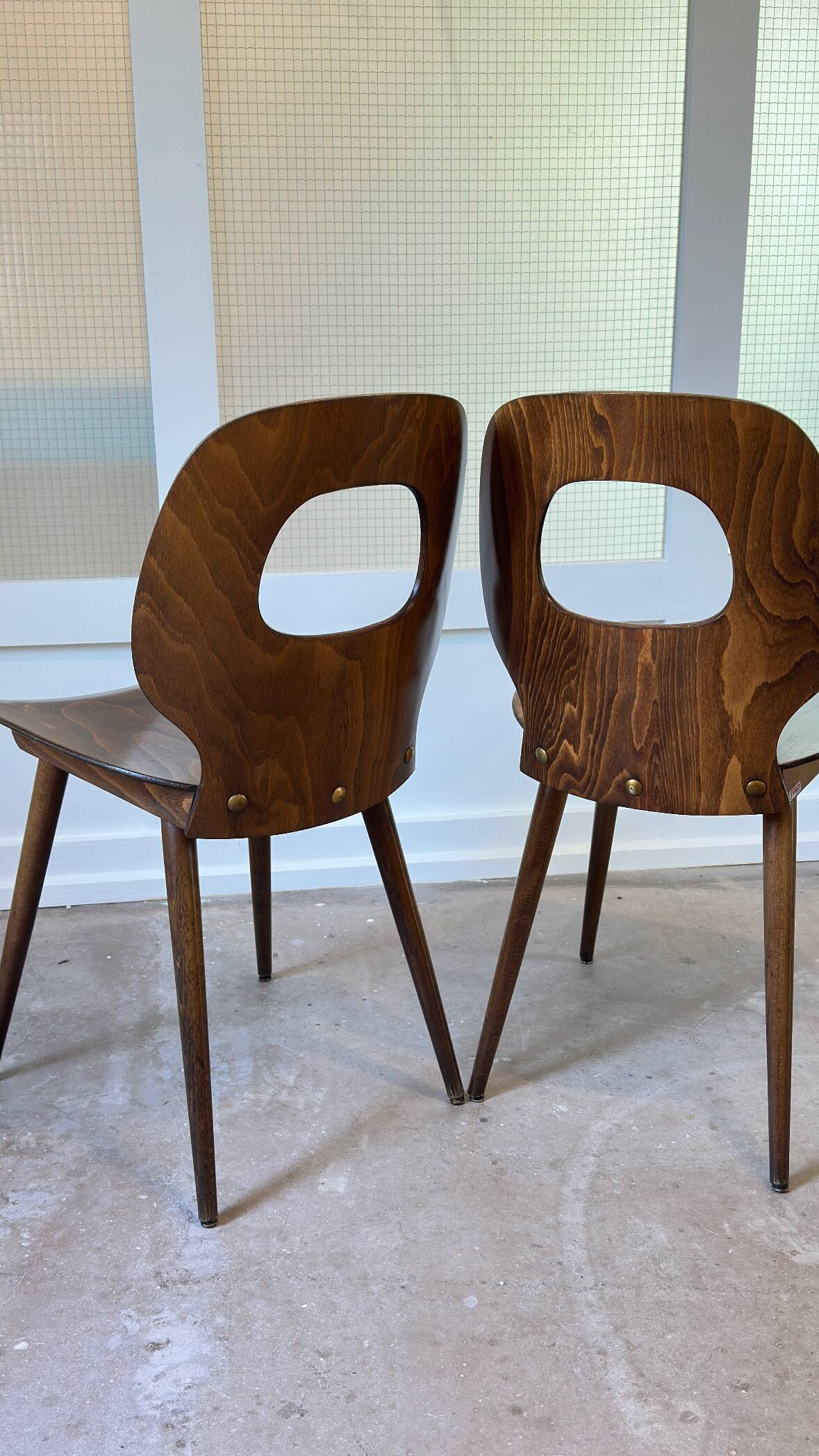 Paire de chaises Baumann modèle "Oeil" distribution Henri Julien