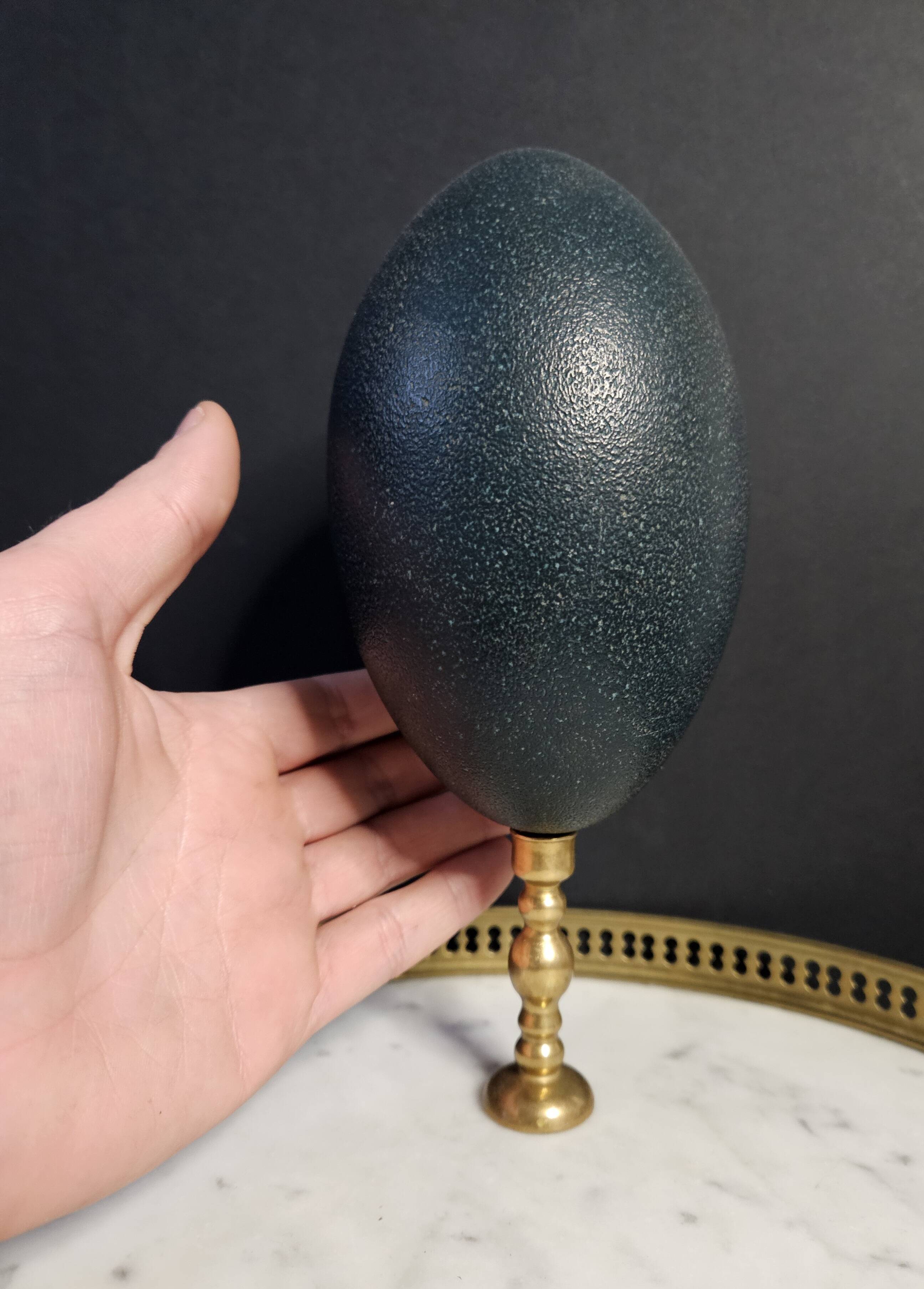 Emu Egg, Bronze Base (Early 20th century) H: 21 cm | Curiosity Collectible | PlaceOddity