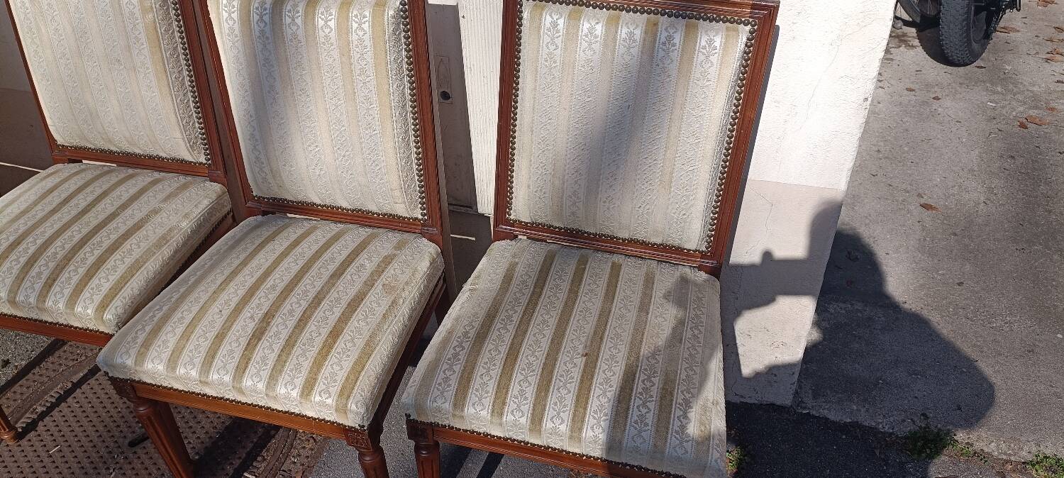 Lot 6 Louis chairs, 16