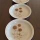 Lot de 4 assiettes creuses en grès Sarreguemines "Chardons" années 70