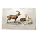 Old engraving from 1849. Egagre by E.Travies. Atlas of Orbigny. color