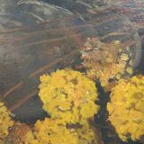 Large Classic Still Life with Flowers by Eugène Joseph Frans Lücker