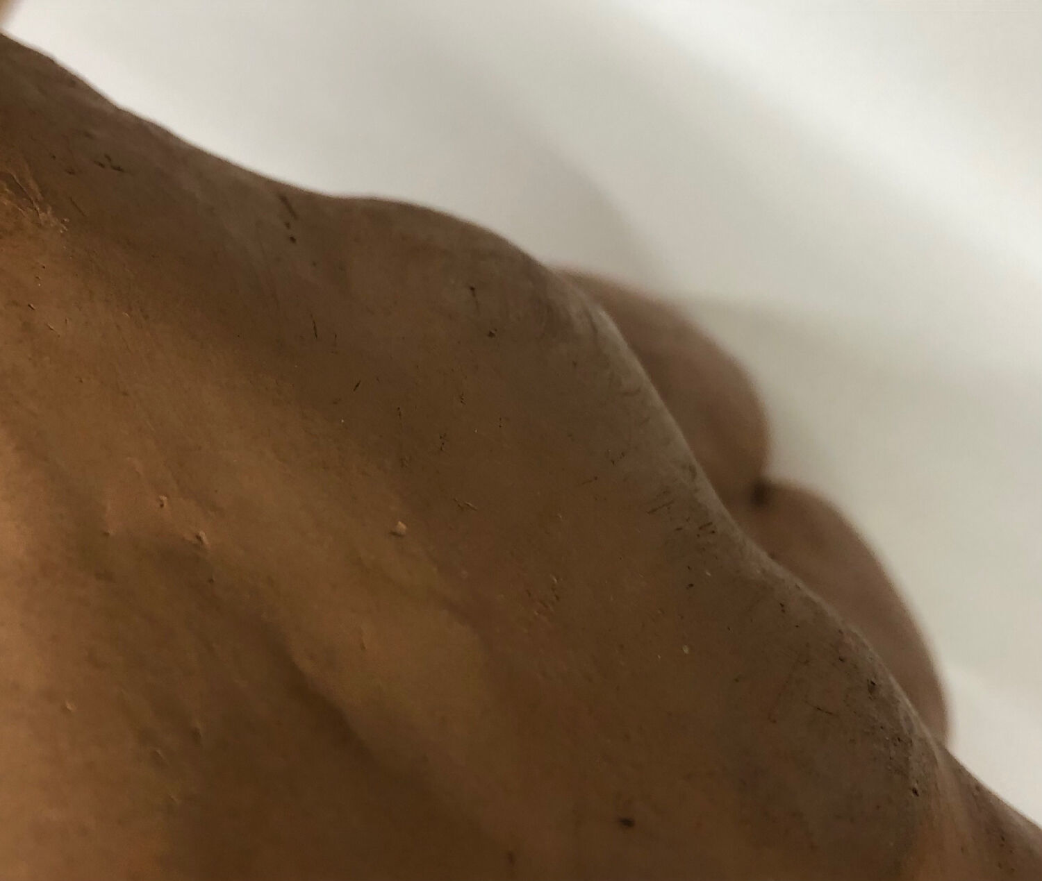 School bust of a female body in red clay terracotta