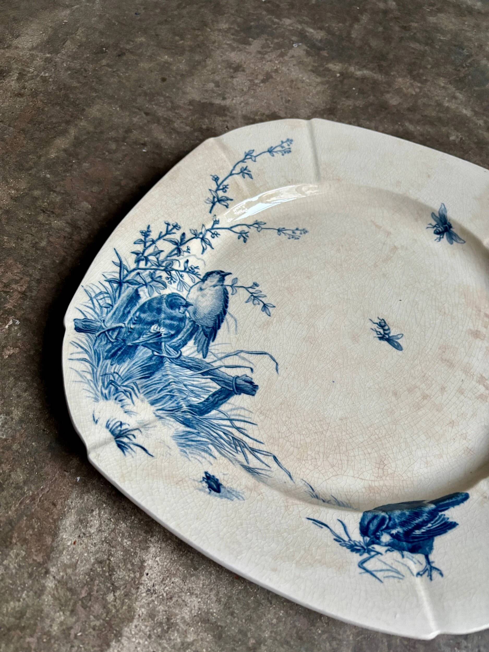 Square flat plate Gien in blue ironstone, service "Birds" around 1870.