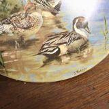 Porcelain plate by Sergio Budicin