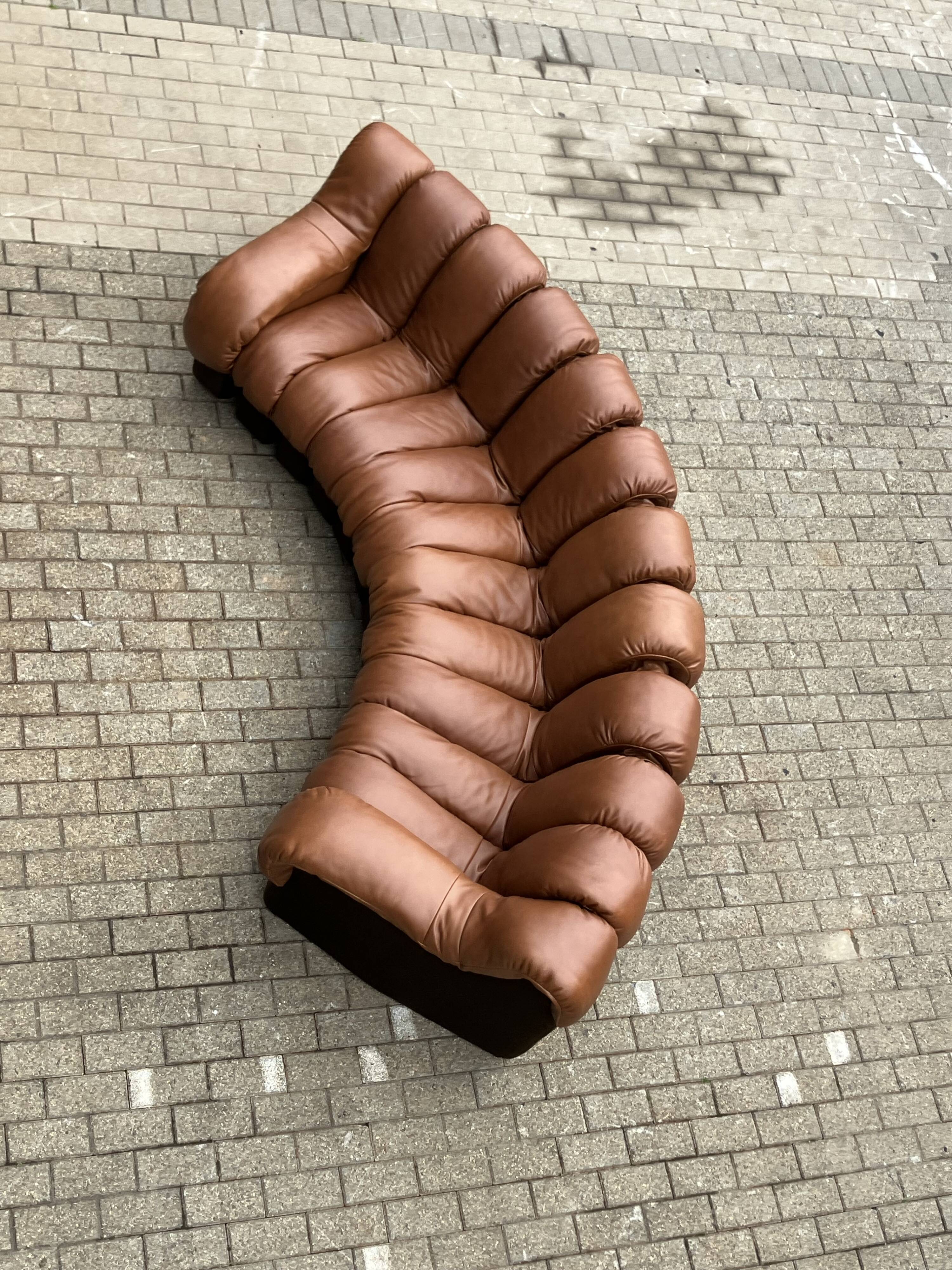 De Sede Ds600 Snake Tatzelwurm, 12 elements. New!