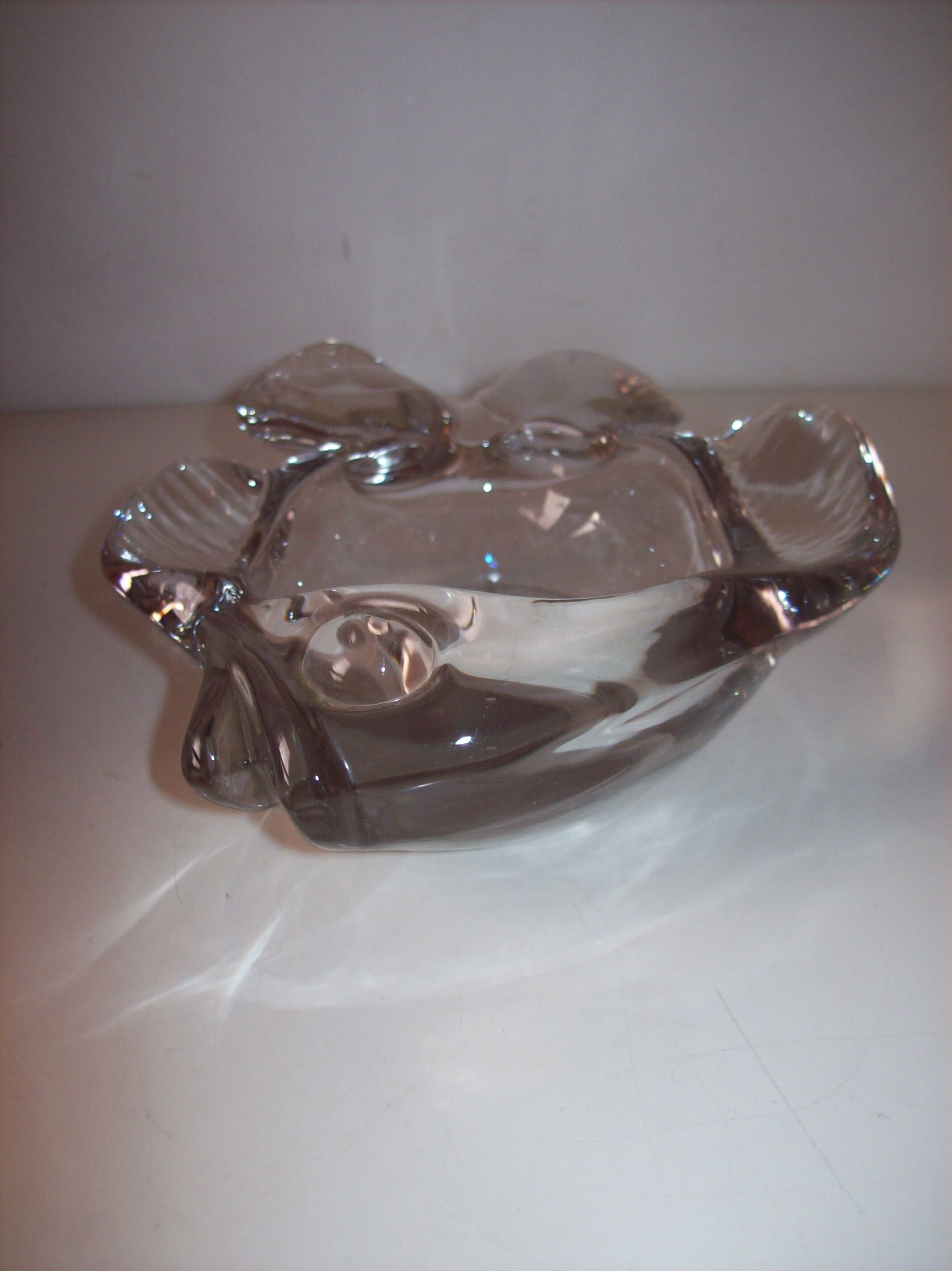 Empty glass fish bag