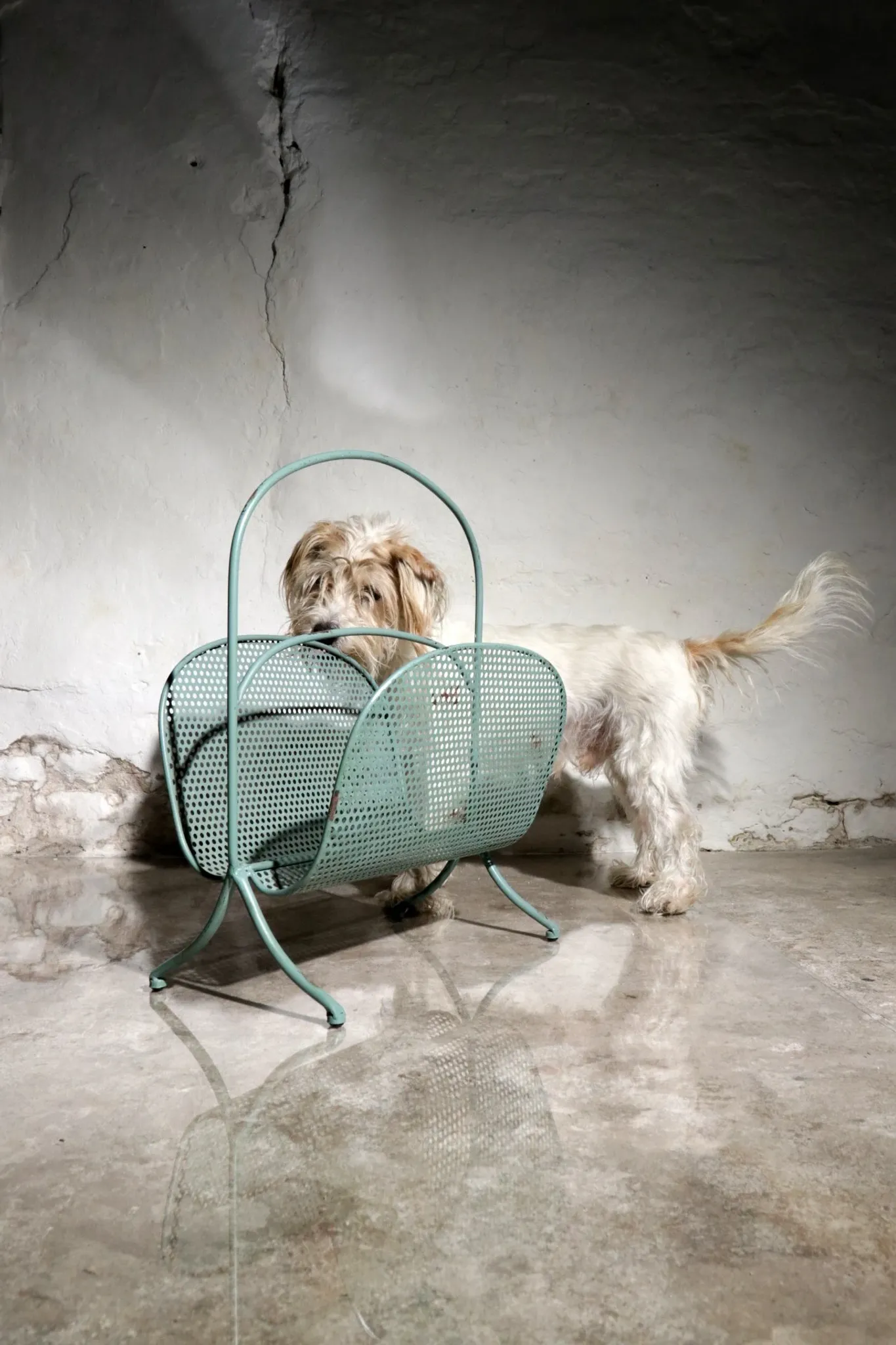 Vintage design metal magazine rack in mint green, Mathieu Matégot style