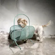 Vintage design metal magazine rack in mint green, Mathieu Matégot style