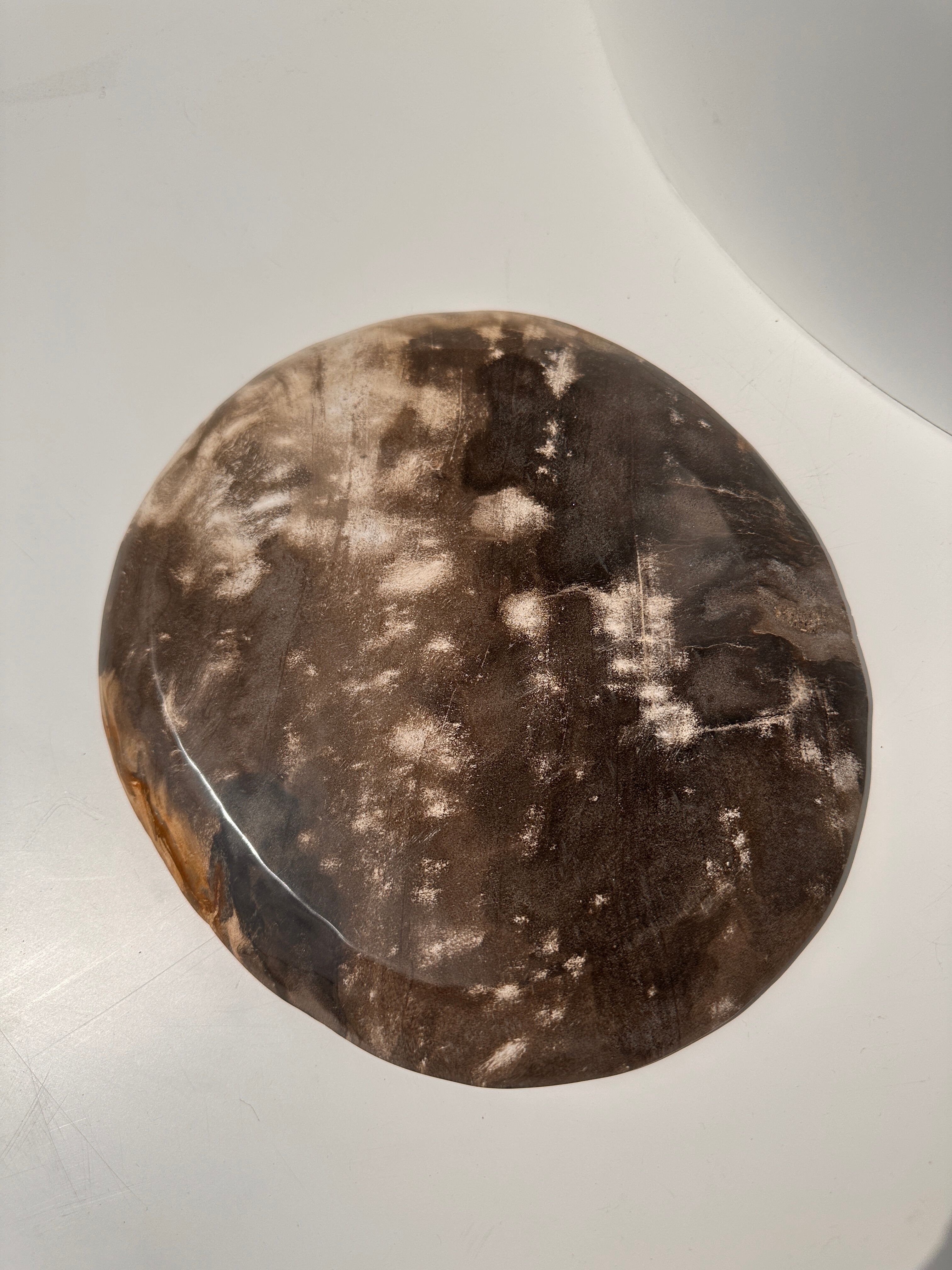 Dish in petrified wood