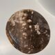 Dish in petrified wood