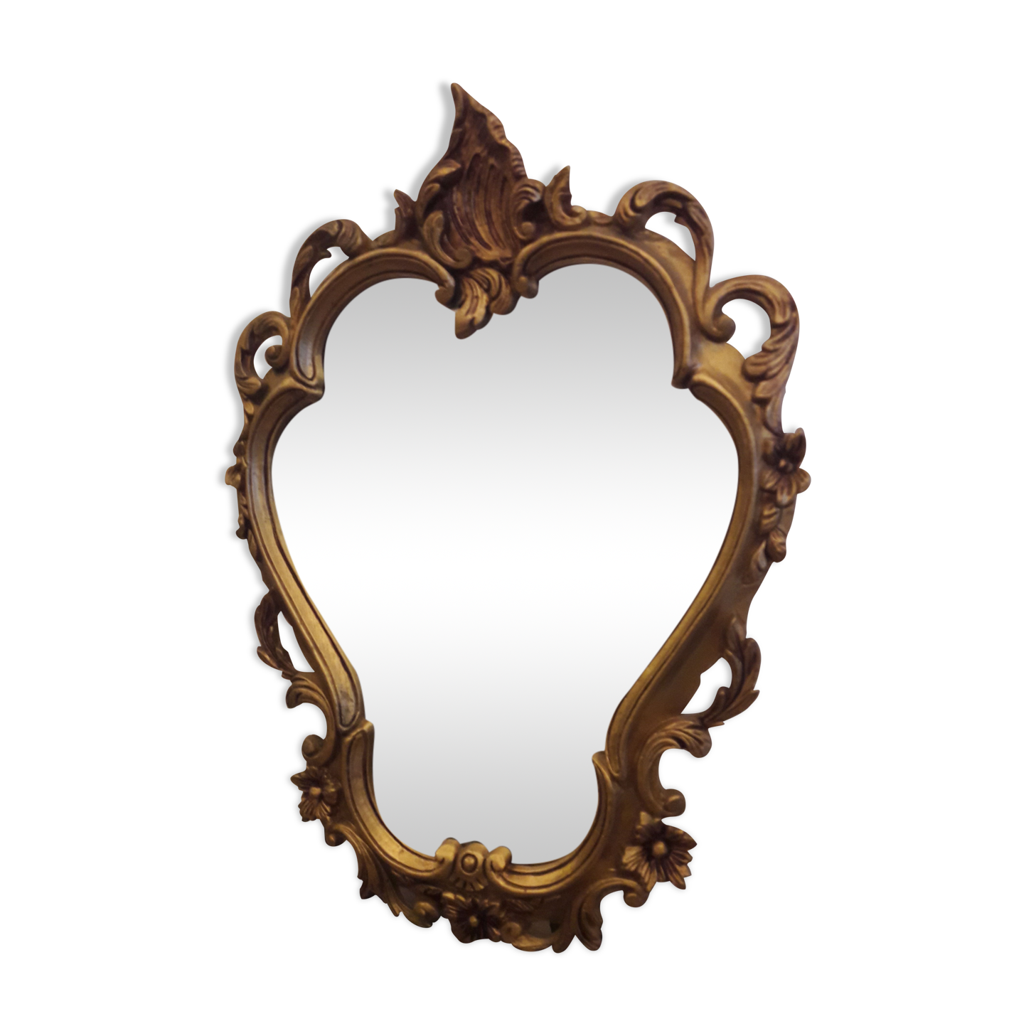 Mirror 47cm x 33cm baroque style oval shape with golden resin frame floral pattern vegetable