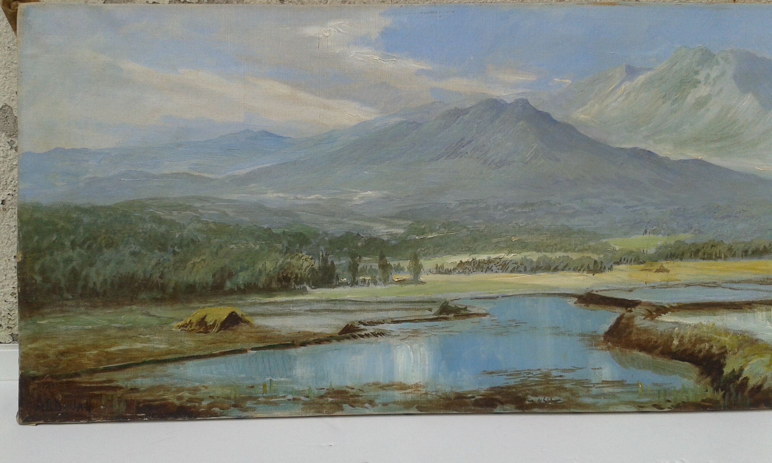 Rice paddy landscape Java Indonesia Abdullah Suriosubroto