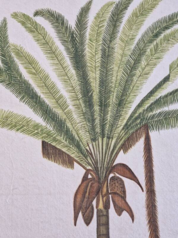 La Roche Laffitte (Born in 1943) - Watercolour drawing on silk - Palm tree