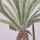 La Roche Laffitte (Born in 1943) - Watercolour drawing on silk - Palm tree