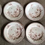 Series of 9 plates Iron Earth