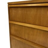 Commode à tiroirs vintage Pastoe Cees Braakman CB05 Dutch Design